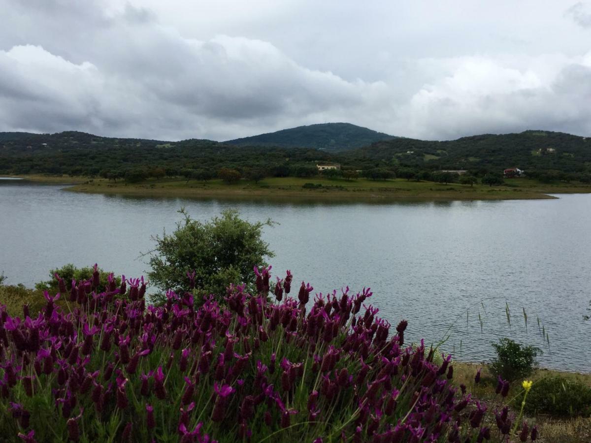 Casa Rural Alcornocalejo モネステリオ エクステリア 写真